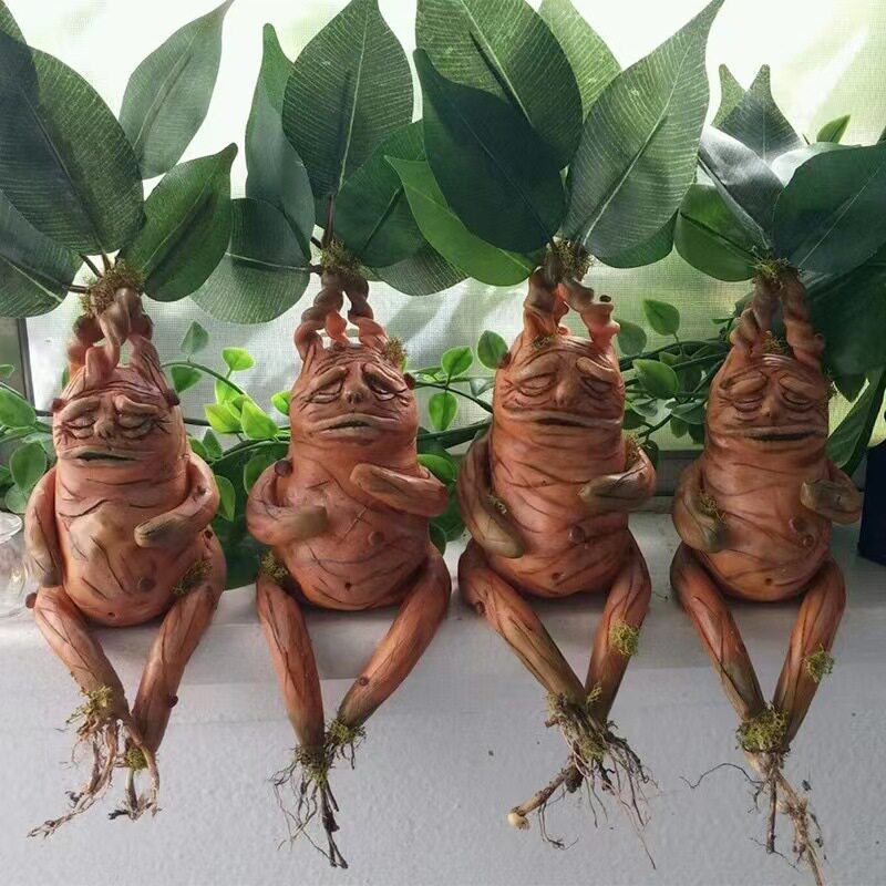 Gardening Tools Amazon - Ornement en résine Mandrake pour la