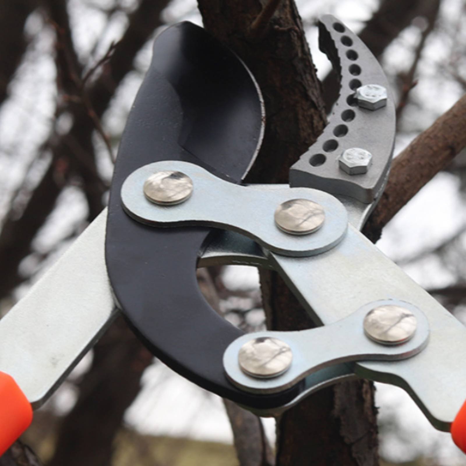Pruning Shears - Sécateurs télescopiques à lame tranchante, robustes,