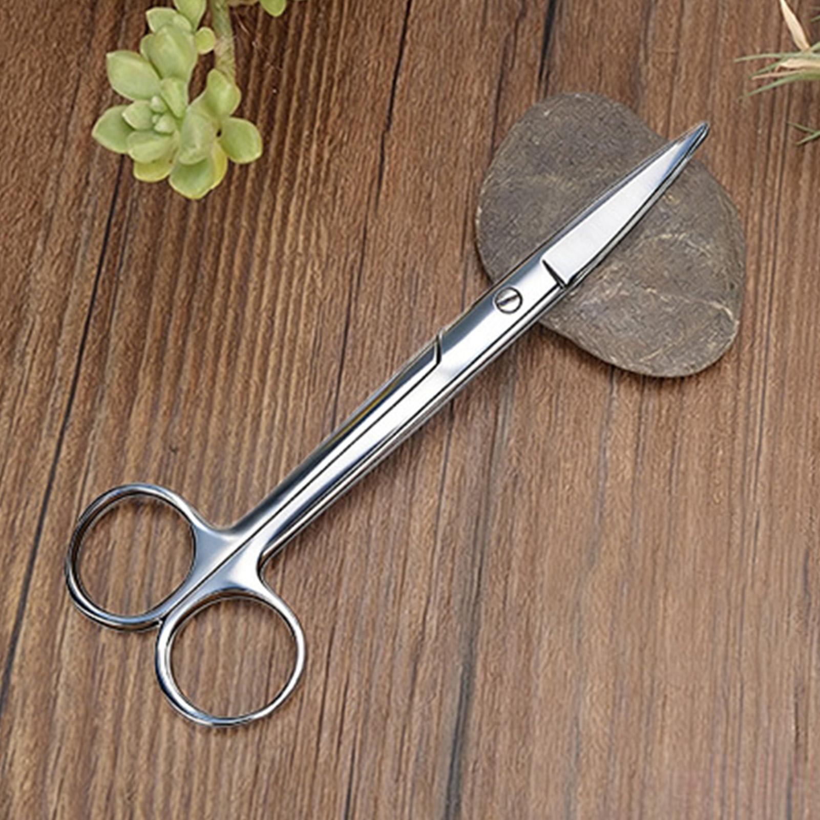 Pruning Shears - Sécatrices ergonomiques en acier inoxydable pour
