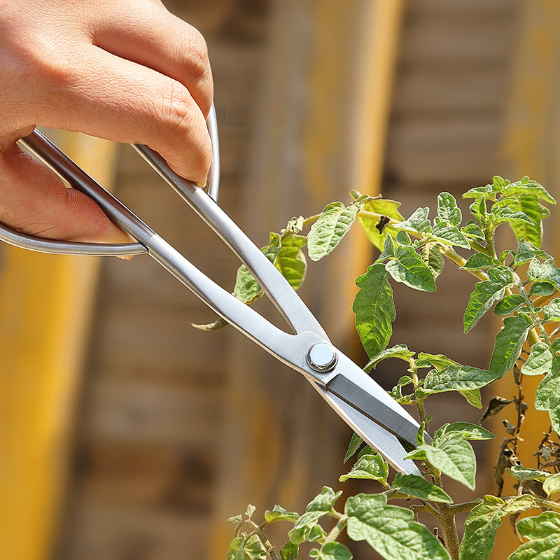 Bac à compost de jardin extéri - Compost Bin avis et prix
