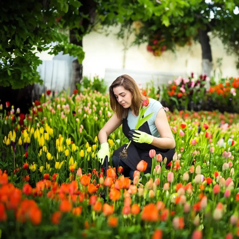 Râteau de jardin manuel 2-en-1 - Gardening Tools To Remove Weeds avis et prix