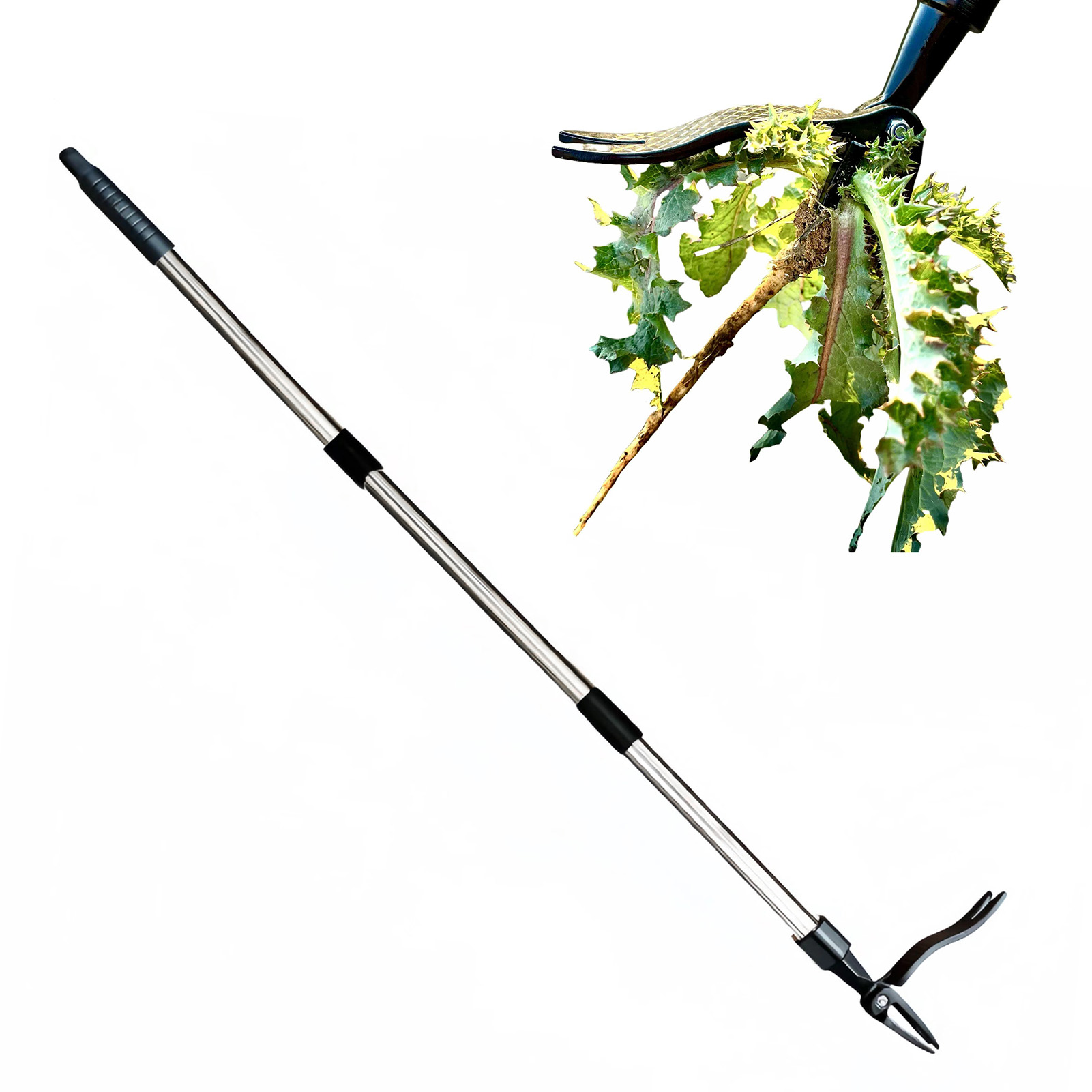 Extracteur de mauvaises herbes - Gardening Tools To Remove Weeds avis et prix
