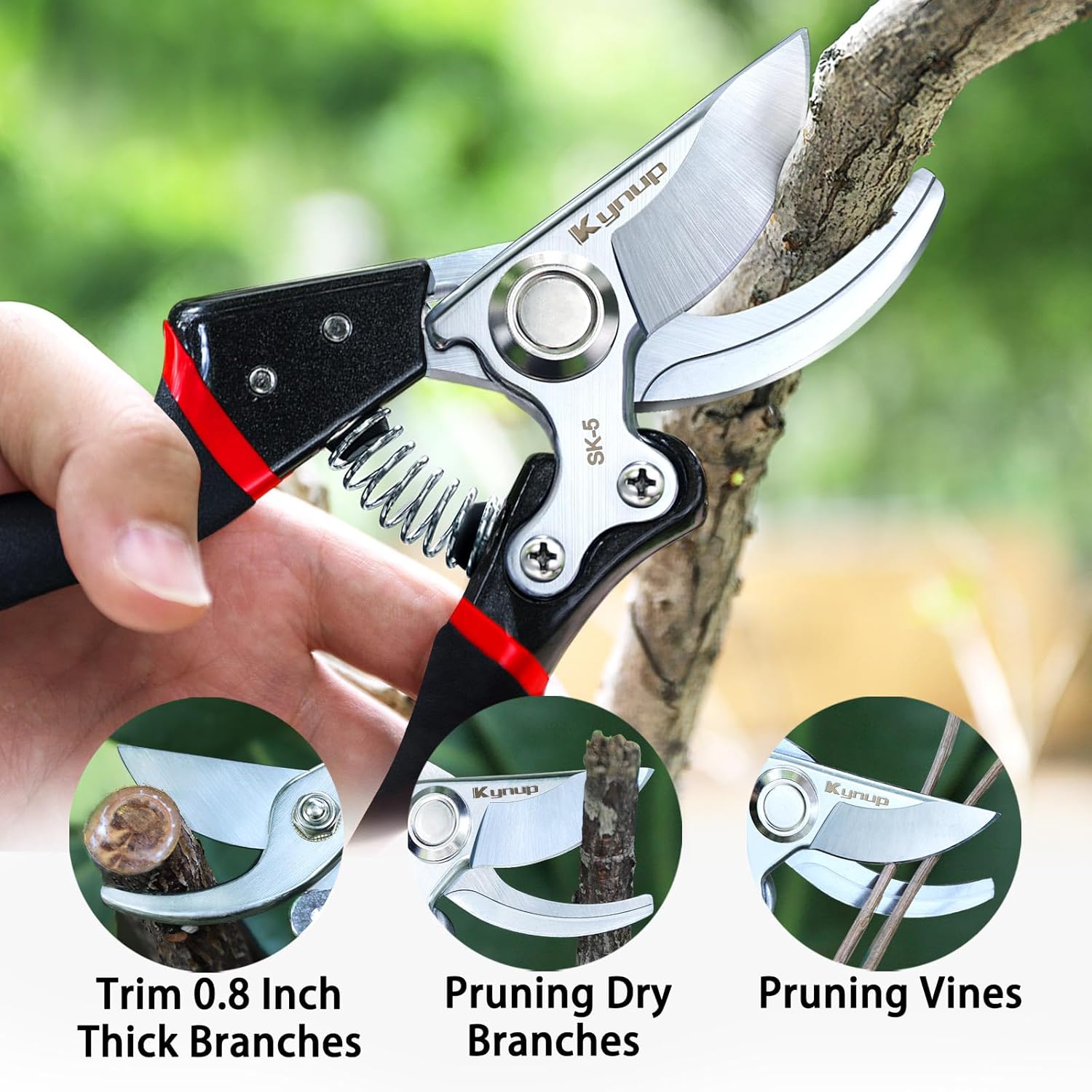 Sécateurs de jardinage avec la - Pruning Shears avis et prix