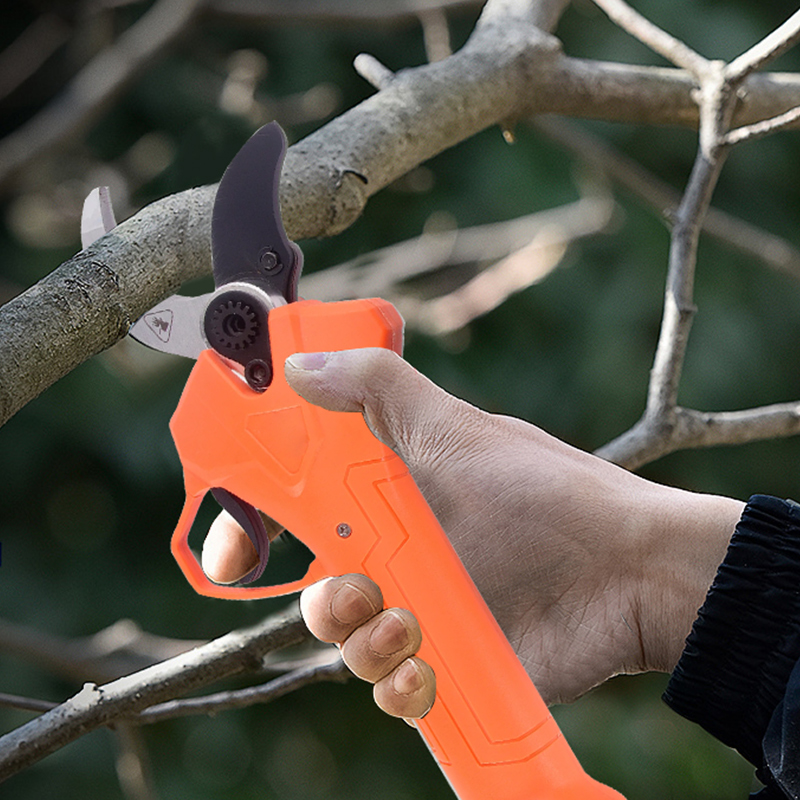 Vente flash : sécateur électri - Pruning Shears avis et prix