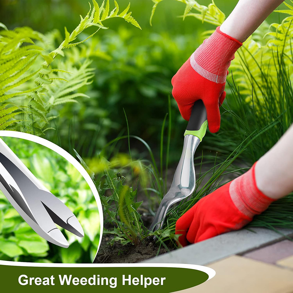 Outil de désherbage manuel, ex - Gardening Tools To Remove Weeds avis et prix