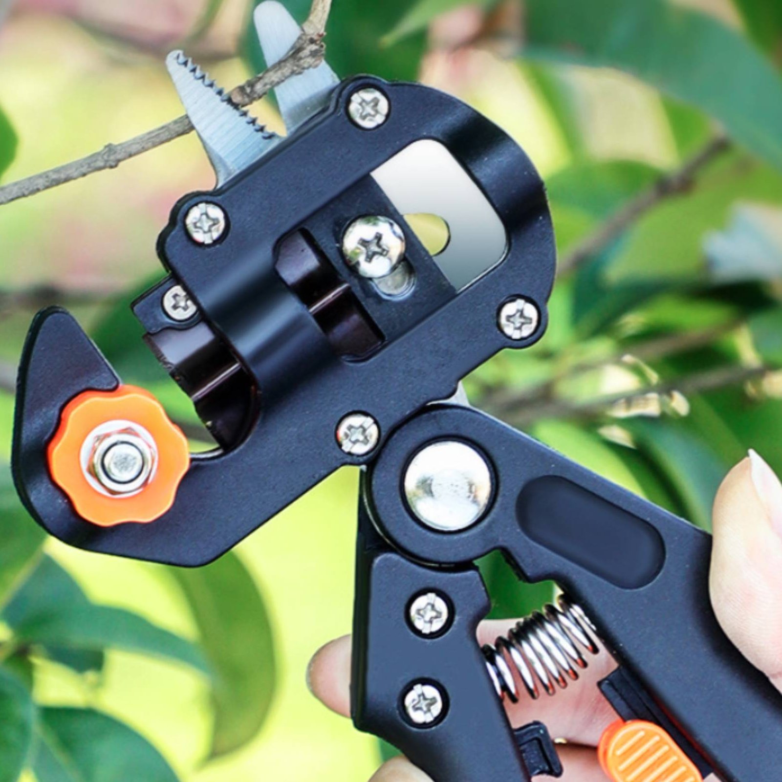 Sécateur de greffage 2 en 1 po - Pruning Shears avis et prix