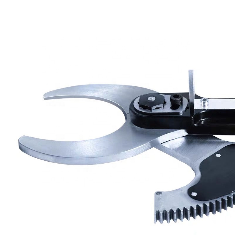 Nouvelles cisailles électrique - Pruning Shears avis et prix