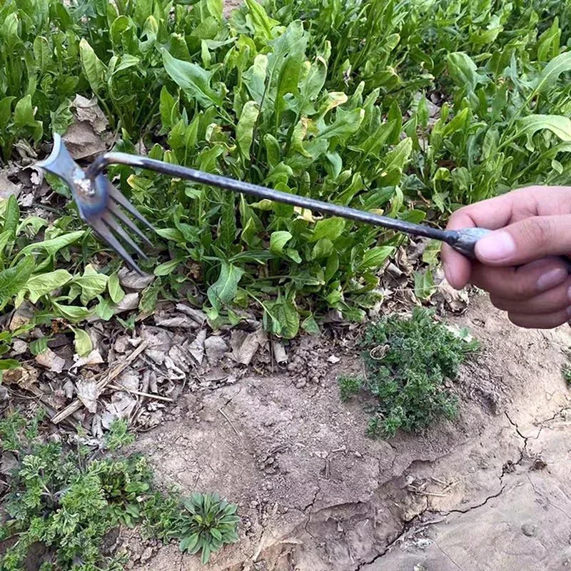 Désherbeur manuel de jardin en - Gardening Tools To Remove Weeds avis et prix