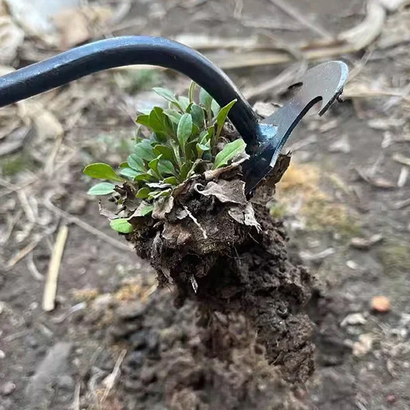 Désherbeur manuel de jardin en - Gardening Tools To Remove Weeds avis et prix