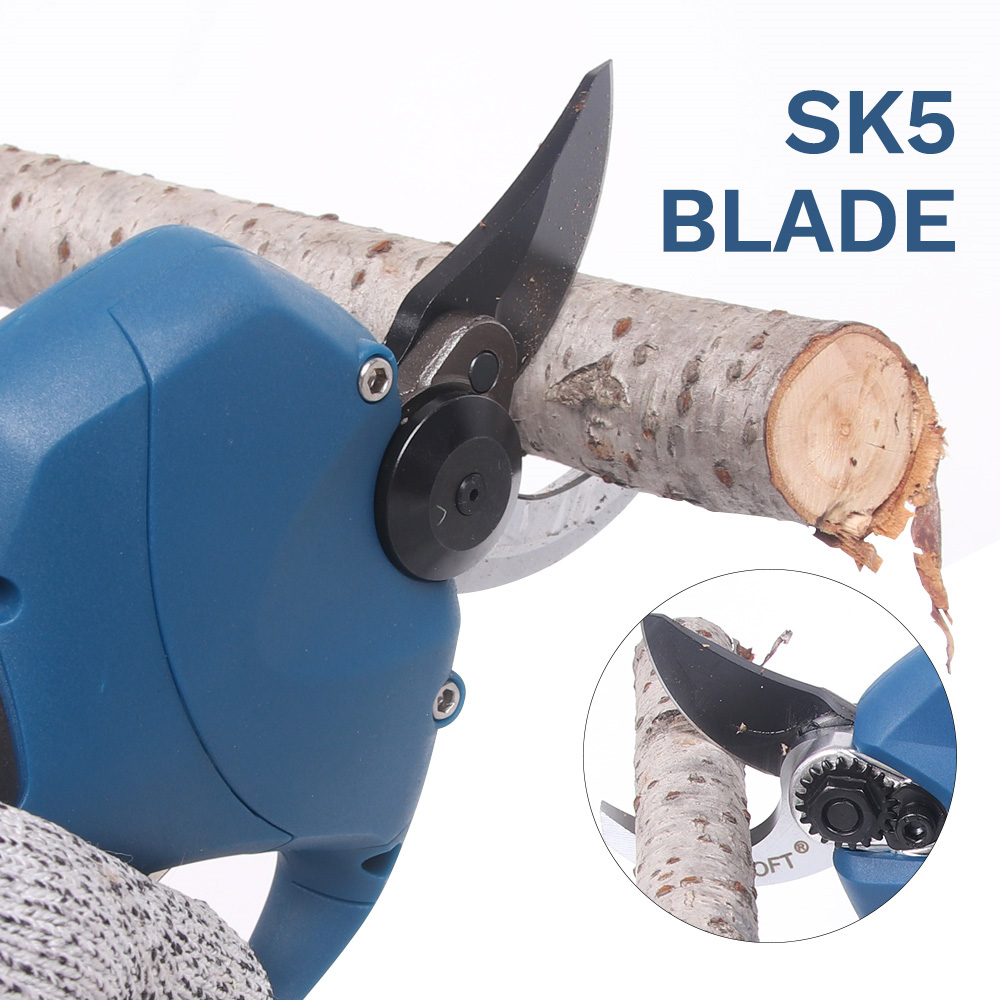 16.8V 2pc Lithium-Ion batterie - Pruning Shears avis et prix