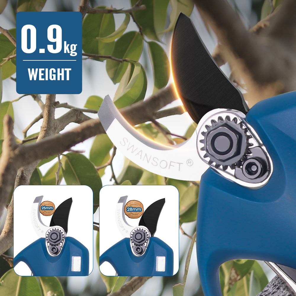 16.8V 2pc Lithium-Ion batterie - Pruning Shears avis et prix
