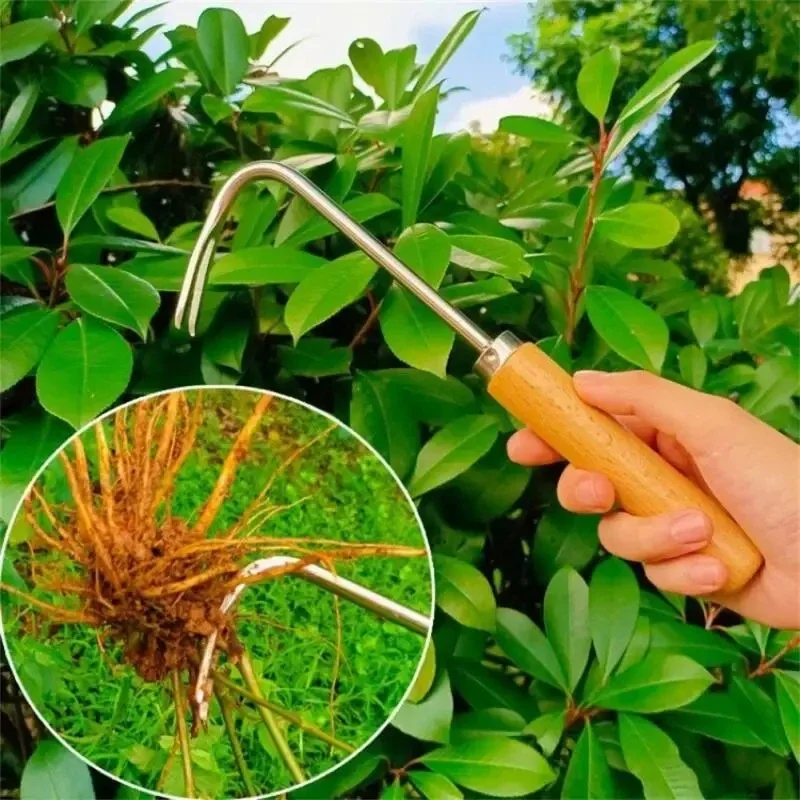 Désherbeur de jardinage en aci - Gardening Tools To Remove Weeds avis et prix