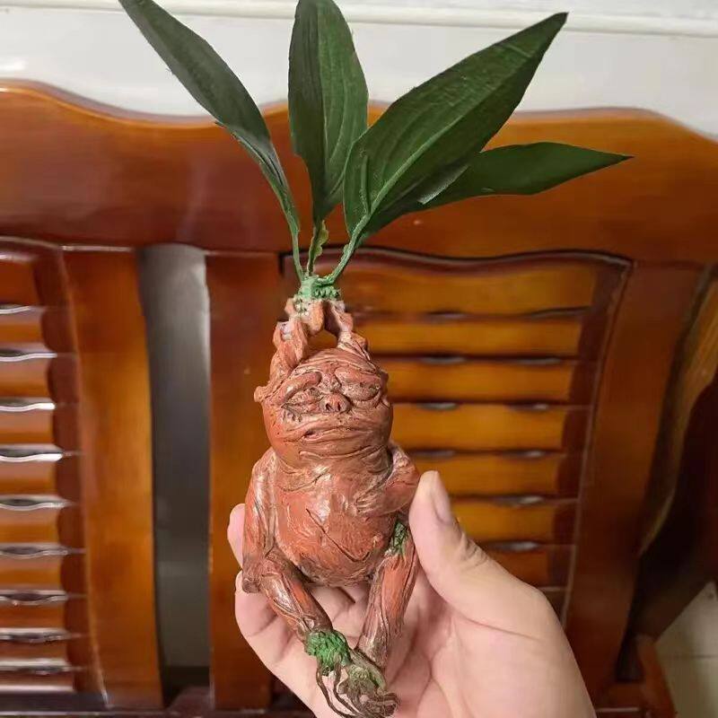 Ornement en résine Mandrake po - Gardening Tools Amazon avis et prix