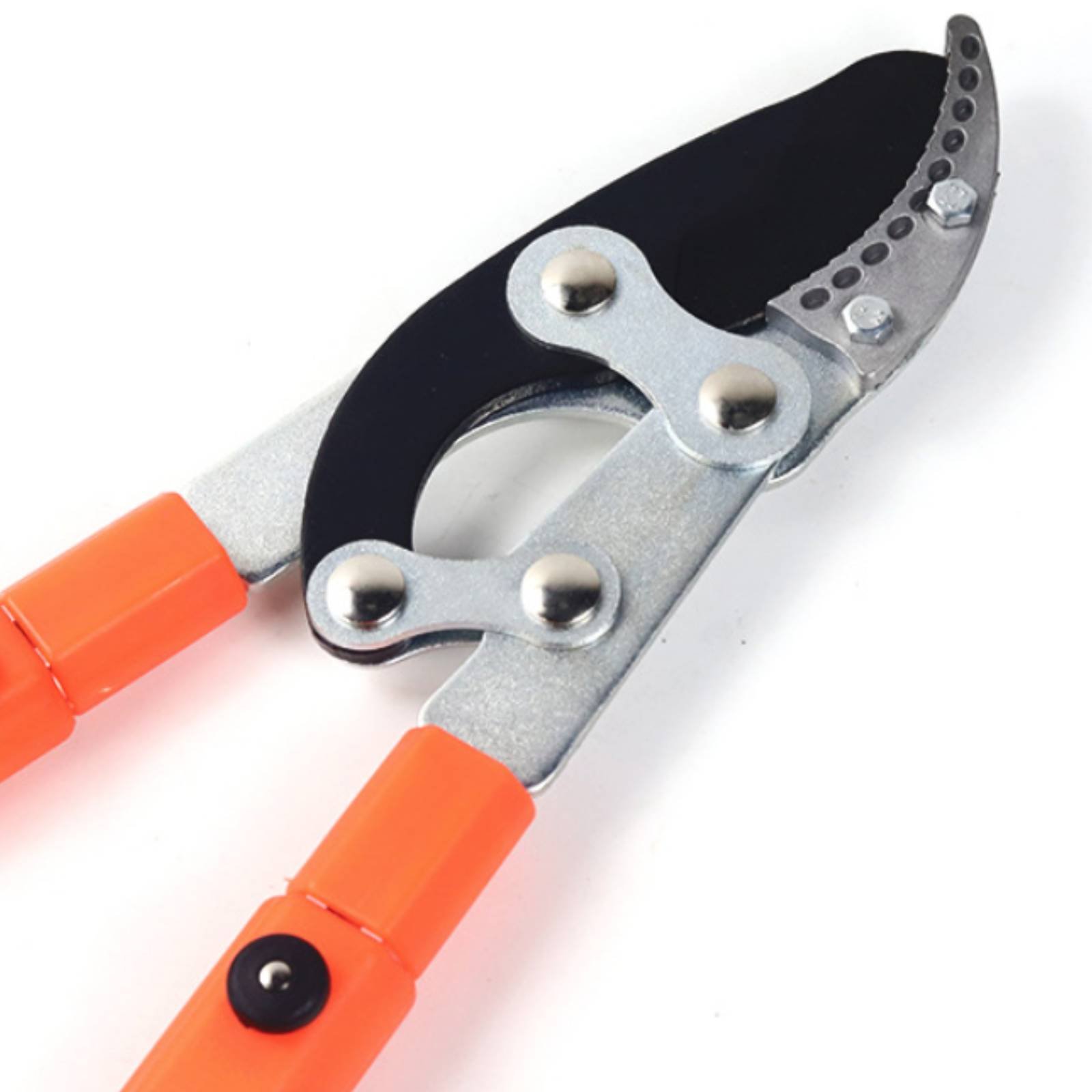 Sécateurs télescopiques à lame - Pruning Shears avis et prix