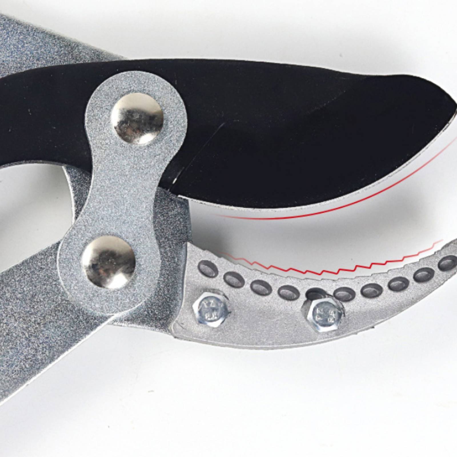 Sécateurs télescopiques à lame - Pruning Shears avis et prix
