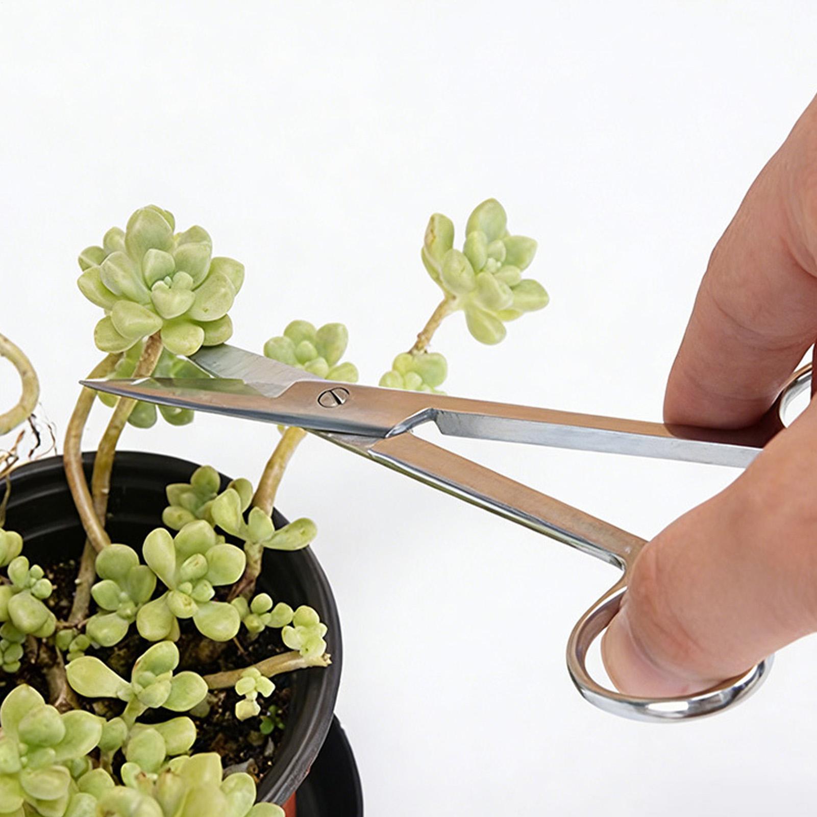Sécatrices ergonomiques en aci - Pruning Shears avis et prix
