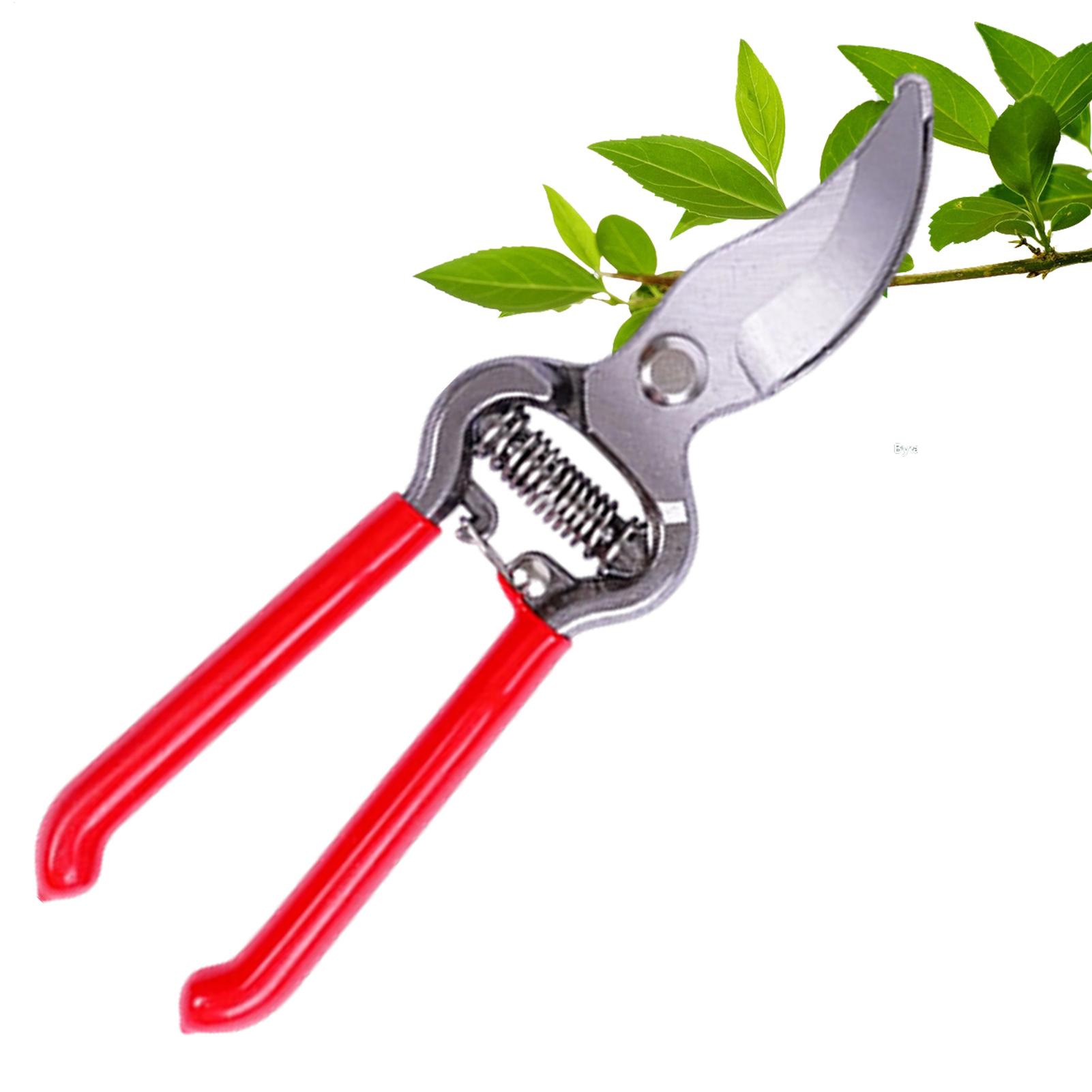 Cisailles à plantes, ciseaux à - Pruning Shears avis et prix